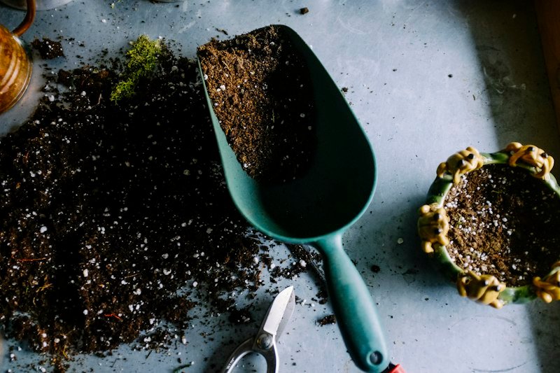 Hands in soil in Black Hills garden